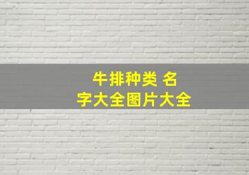 牛排种类 名字大全图片大全